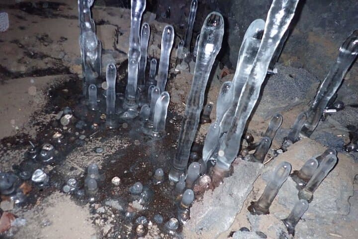 Exploring Mt Fuji Ice Cave and Sea of Trees Forest — photo 13