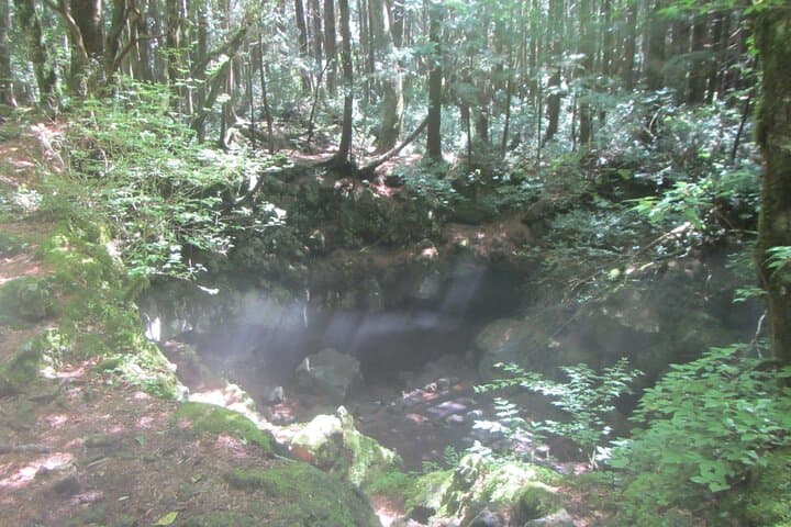 Exploring Mt Fuji Ice Cave and Sea of Trees Forest — photo 4