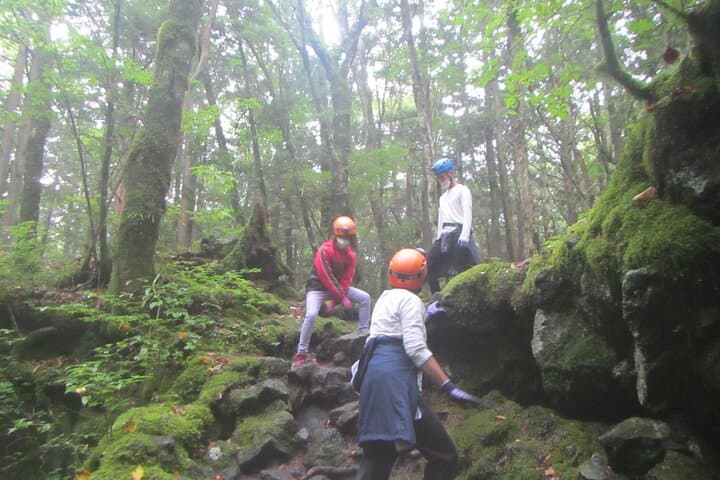 Exploring Mt Fuji Ice Cave and Sea of Trees Forest — photo 8
