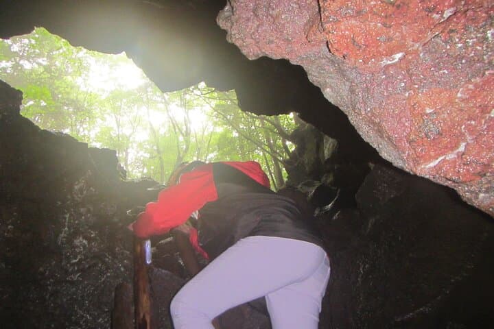 Exploring Mt Fuji Ice Cave and Sea of Trees Forest — photo 9