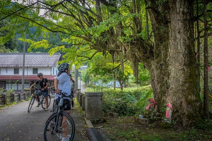 Bike tour through rural Japan — photo 13