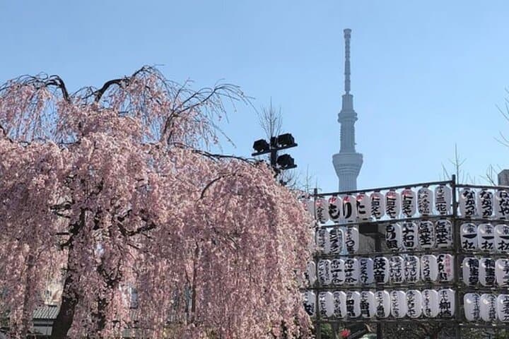 Tokyo Private Day Tour by Car with English speaking Driver Guide — photo 5