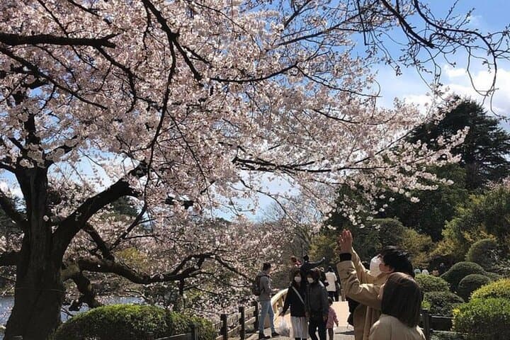 Tokyo Private Day Tour by Car with English speaking Driver Guide — photo 6