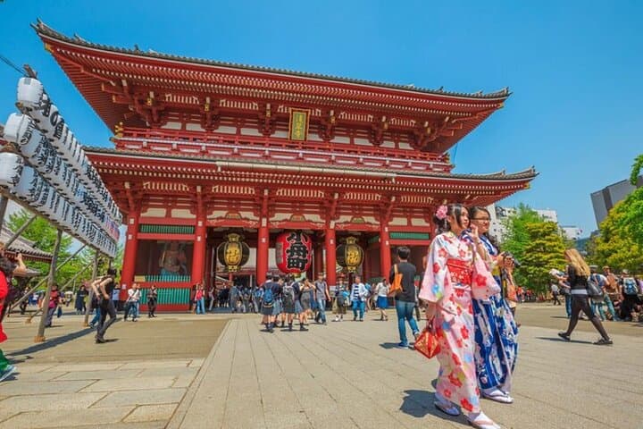 Tokyo Private Day Tour by Car with English speaking Driver Guide — photo 10