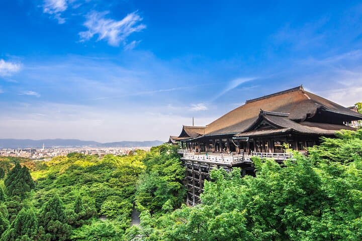 Kyoto 8hr Tour from Osaka: English speaking Driver, No Guide