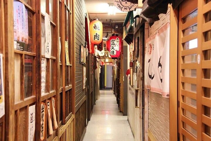 Osaka 8hr Tour from Kobe: English speaking Driver, No Guide — photo 9