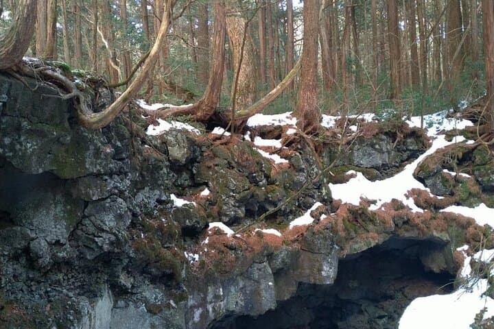 Exploring Mt Fuji Ice Cave and Sea of Trees Forest — photo 11