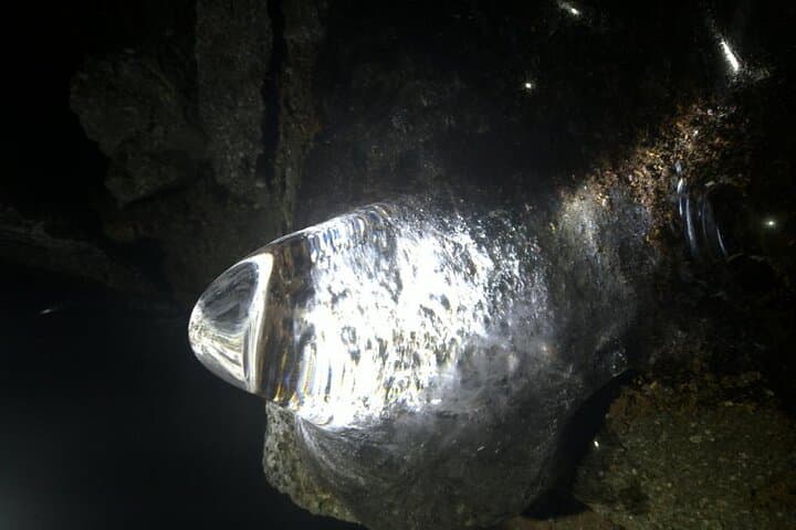 Exploring Mt Fuji Ice Cave and Sea of Trees Forest — photo 12