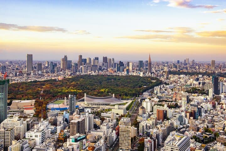Tokyo Layover Tour with Licensed Guide:Narita Airport Dep