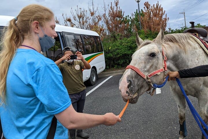 Experience Horseback Riding with Samurai Costume in Japan — photo 4