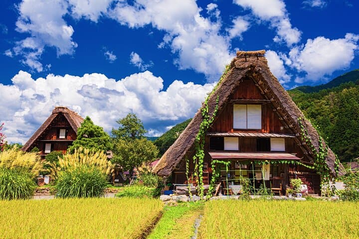 1Day Private Shirakawago and Takayama with Public bus from Nagoya — photo 2