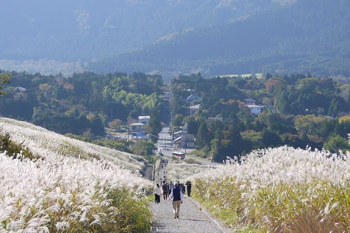 Easygoing Nature Walk in Hakone Tour — photo 2