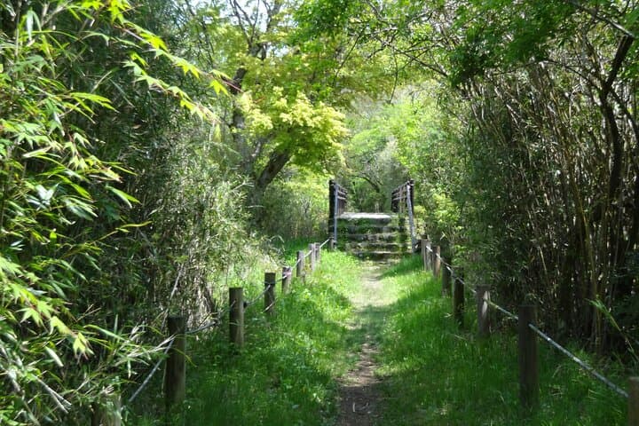 Easygoing Nature Walk in Hakone Tour — photo 3