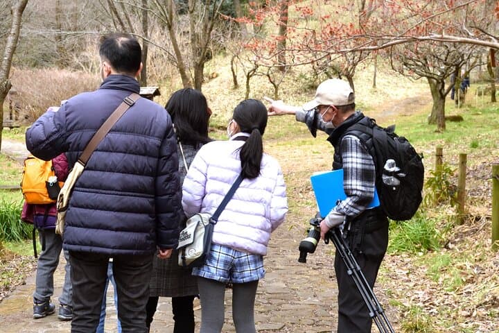 Easygoing Nature Walk in Hakone Tour — photo 13