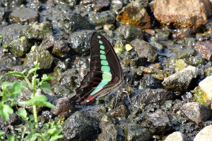 Easygoing Nature Walk in Hakone Tour — photo 6