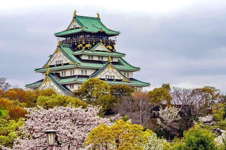 Osaka Private Custom Walking Tour With A Local Guide — photo 6