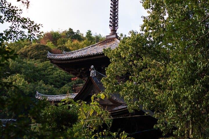 Guided Walking Ohenro Pilgrimage Experience in Dogo Hot Spring — photo 4