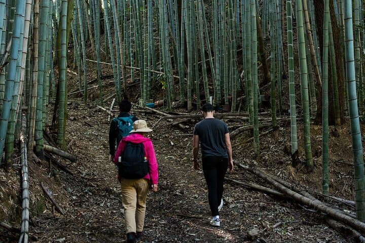 Guided Walking Ohenro Pilgrimage Experience in Dogo Hot Spring — photo 5