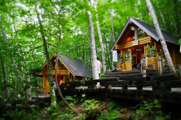 A Relaxing Day for Furano, Biei Blue Pond& Local Curry Lunch in Hokkaido! — photo 8