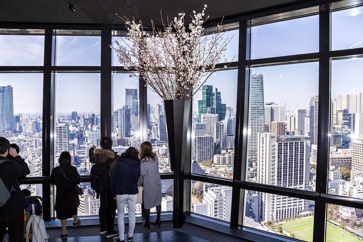 Tokyo Tower Observatory Main Deck (150m) Panoramic view Ticket — photo 12