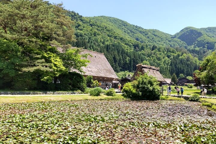 [One-day bus tour departing from Kanazawa Station] Shirakawa-go and Gokayama - Two World Heritage Villages Enjoyable Bus Tour — photo 10