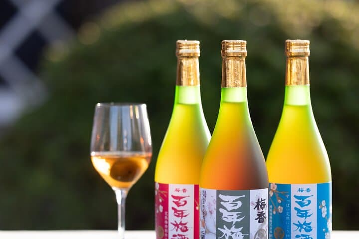 Explore Plum Wine Sake Museum and Japanese Alcohol Tasting — photo 4