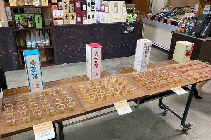 Explore Plum Wine Sake Museum and Japanese Alcohol Tasting — photo 6