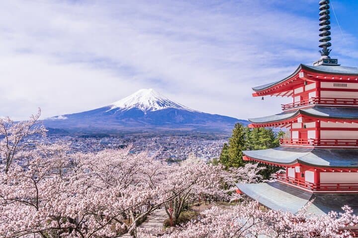 Private Mt. Fuji Custom Tour from Tokyo — photo 5