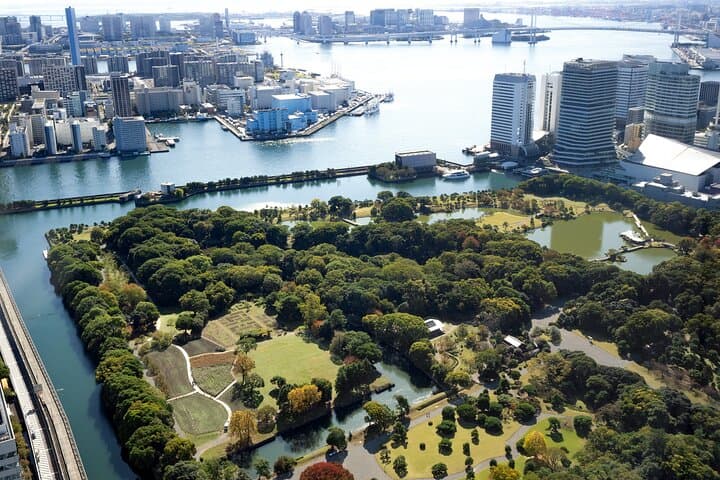 Tokyo 6 hr Private Guided Tour & Tea Ceremony Experience — photo 20