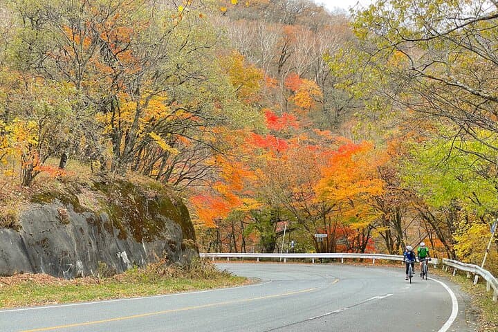 Akagi mountain E-Bike Hill Climbing Tour — photo 7