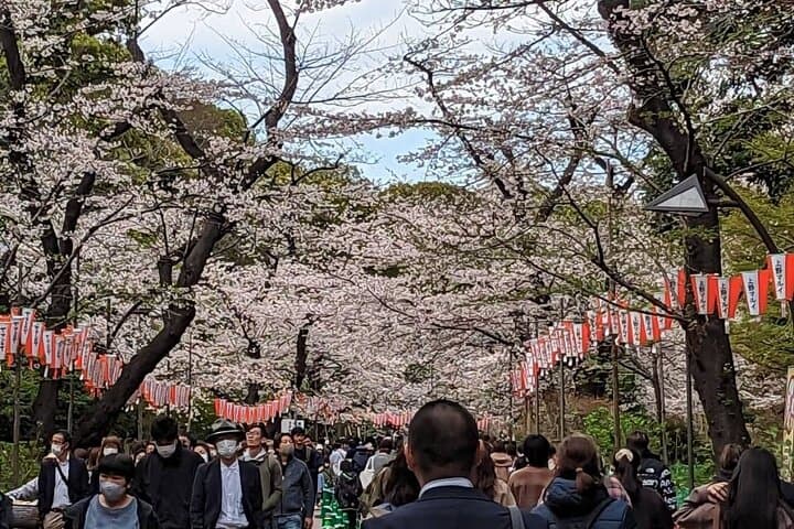 Private Day Tour In Tokyo with a Native English Speaker — photo 2