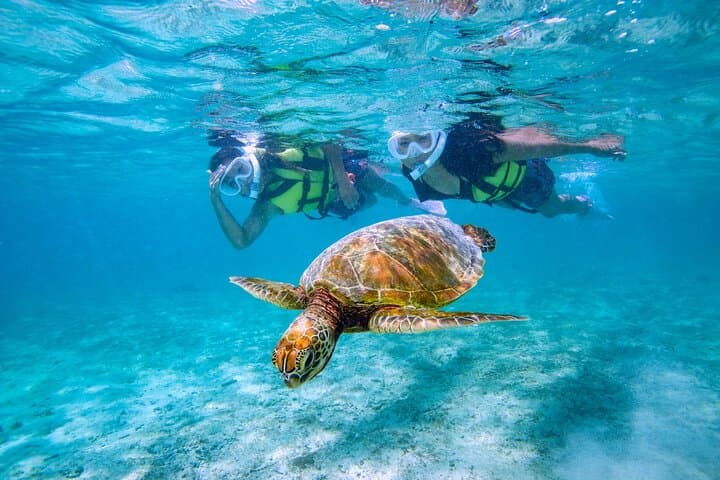 Miyakojima / Snorkel tour to see sea turtles & clownfish — photo 4