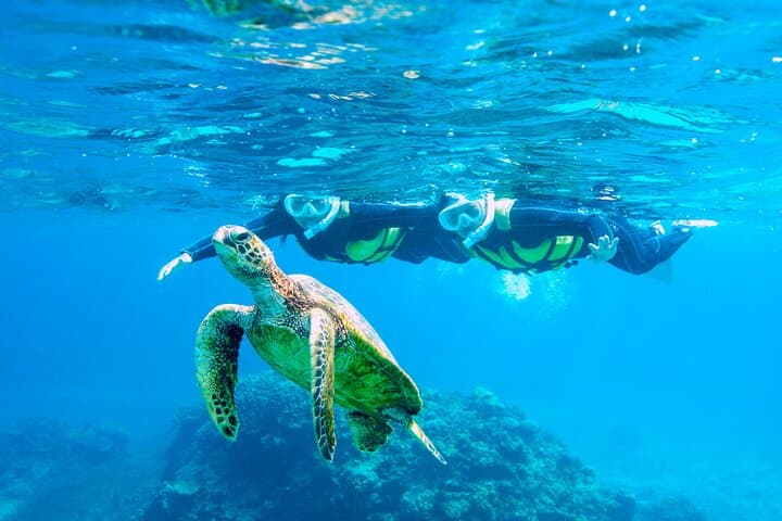 Miyakojima / Snorkel tour to see sea turtles & clownfish — photo 14