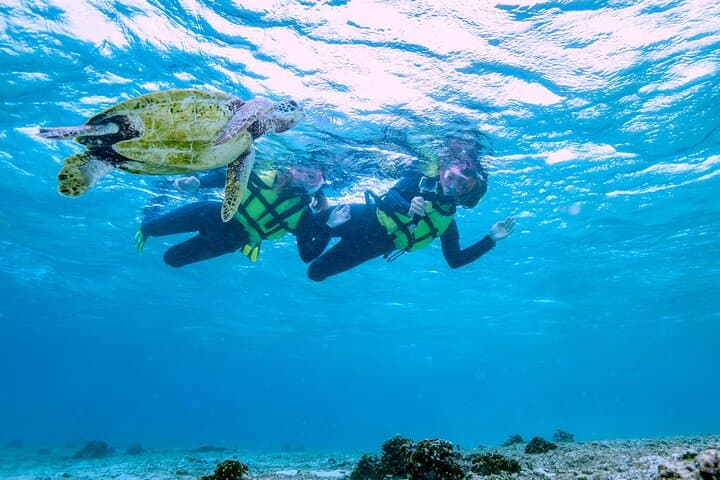 Miyakojima / Snorkel tour to see sea turtles & clownfish — photo 16