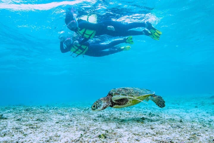 Miyakojima / Snorkel tour to see sea turtles & clownfish — photo 18