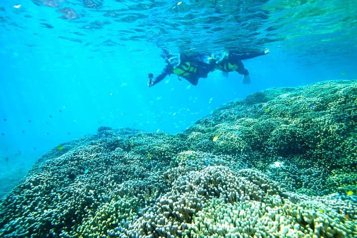 Miyakojima／Playing with the sea for the first time!Fish Search Tour — photo 14