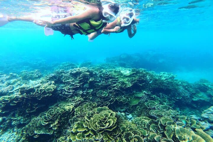 Miyakojima／Playing with the sea for the first time!Fish Search Tour — photo 15