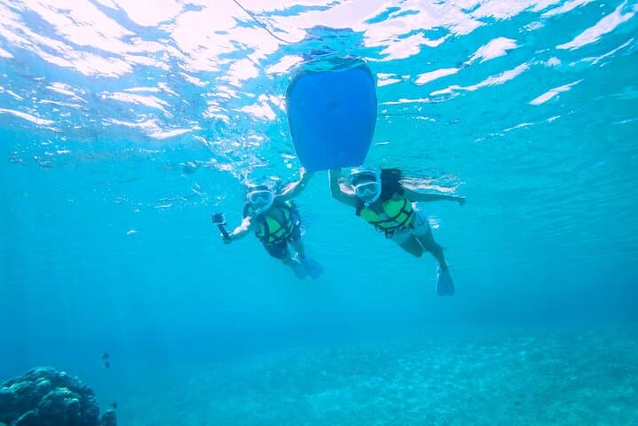 Miyakojima／Playing with the sea for the first time!Fish Search Tour — photo 16