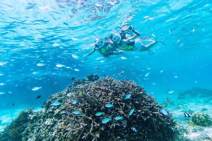 Miyakojima／Playing with the sea for the first time!Fish Search Tour — photo 18
