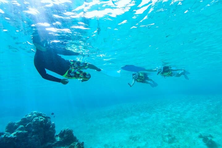 Miyakojima／Playing with the sea for the first time!Fish Search Tour — photo 20