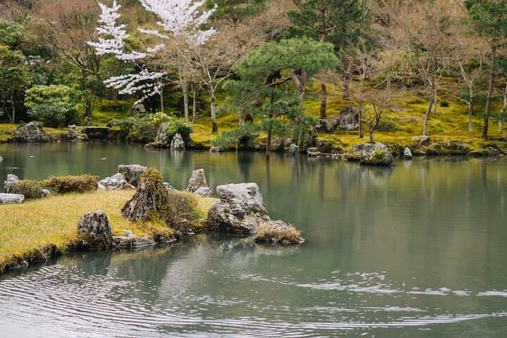 Ultimate Kyoto Arashiyama Tour: Bamboo, Monkeys & Hidden Gardens — photo 12