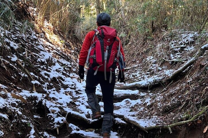 Traverse Outer Rim of Hakone Caldera and Enjoy Onsen Hiking Tour — photo 9