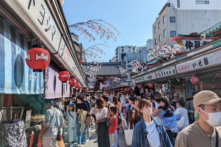 Private Day Tour In Tokyo with a Native English Speaker — photo 6