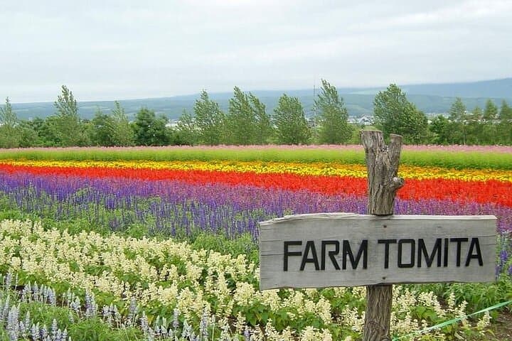 Hokkaido Highlights of Flower Blossom, Asahiyama Zoo& Blue pond「Aoi-ike」! — photo 3