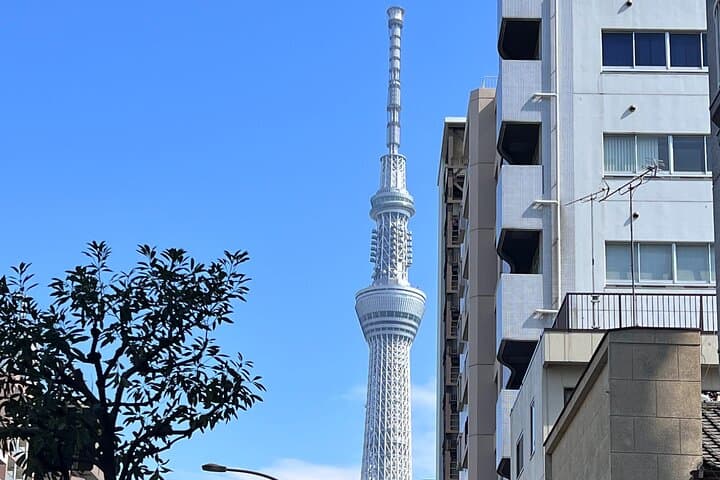 Private Day Tour In Tokyo with a Native English Speaker — photo 12