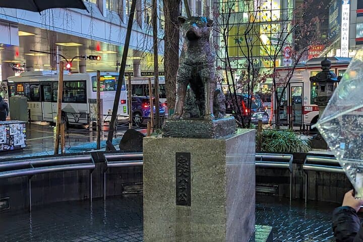 Private Day Tour In Tokyo with a Native English Speaker — photo 13