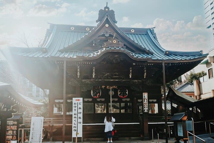 Licensed Guide Tokyo Seven Lucky Gods Temple and Shrine Tour — photo 11
