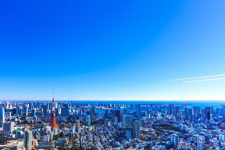Tokyo Helicopter Cruising — photo 5