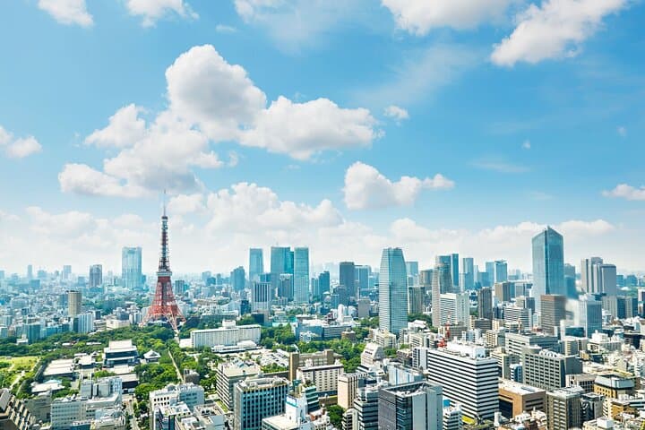 Tokyo Helicopter Cruising — photo 8