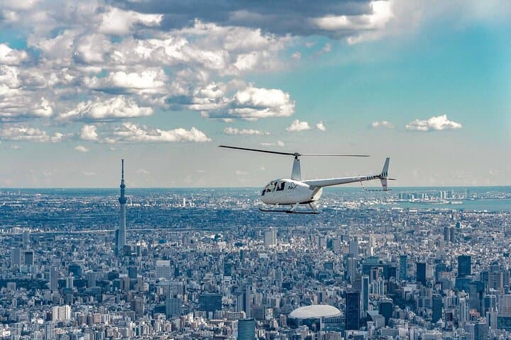 Tokyo Helicopter Cruising — photo 1